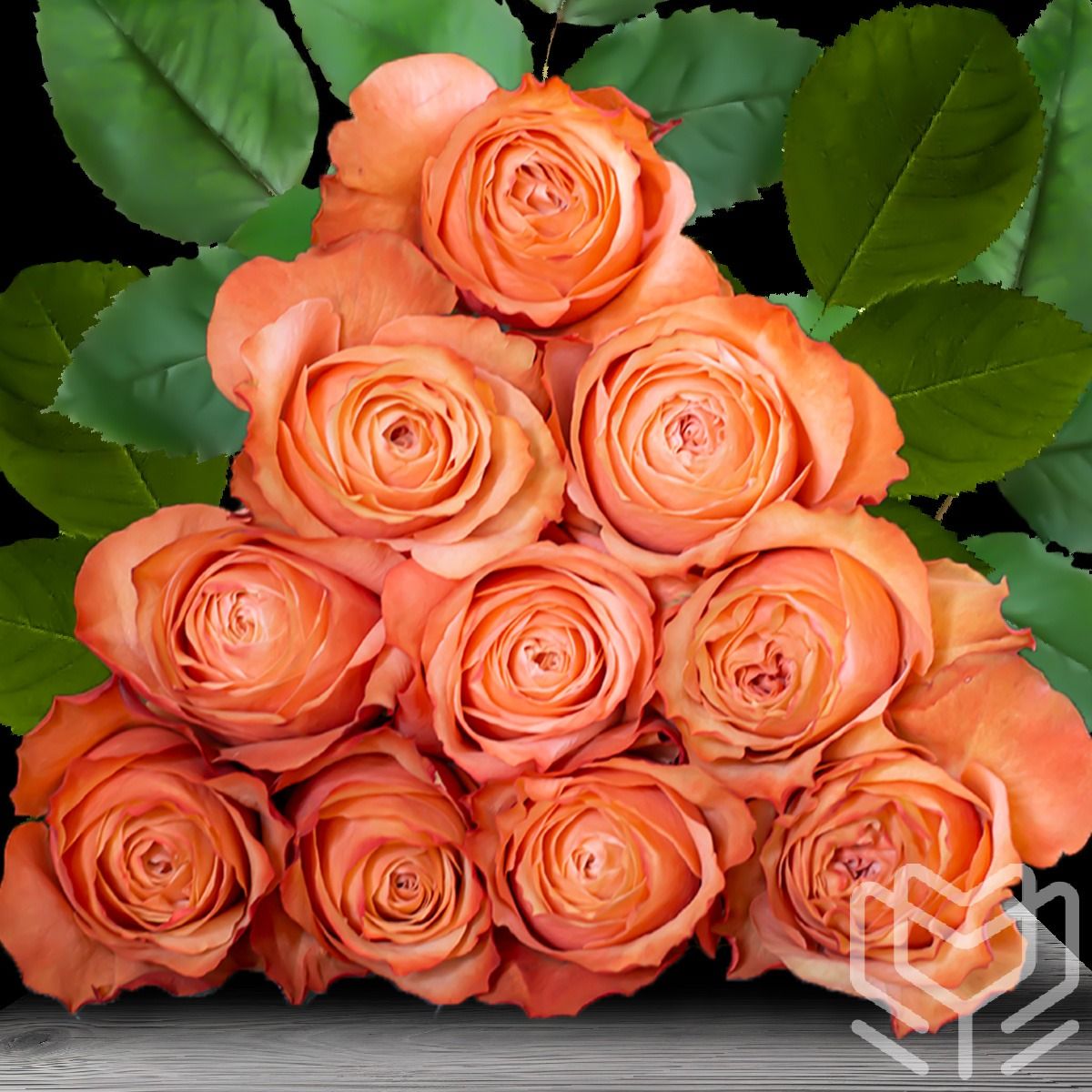 Warm orange Kahala roses with rich texture