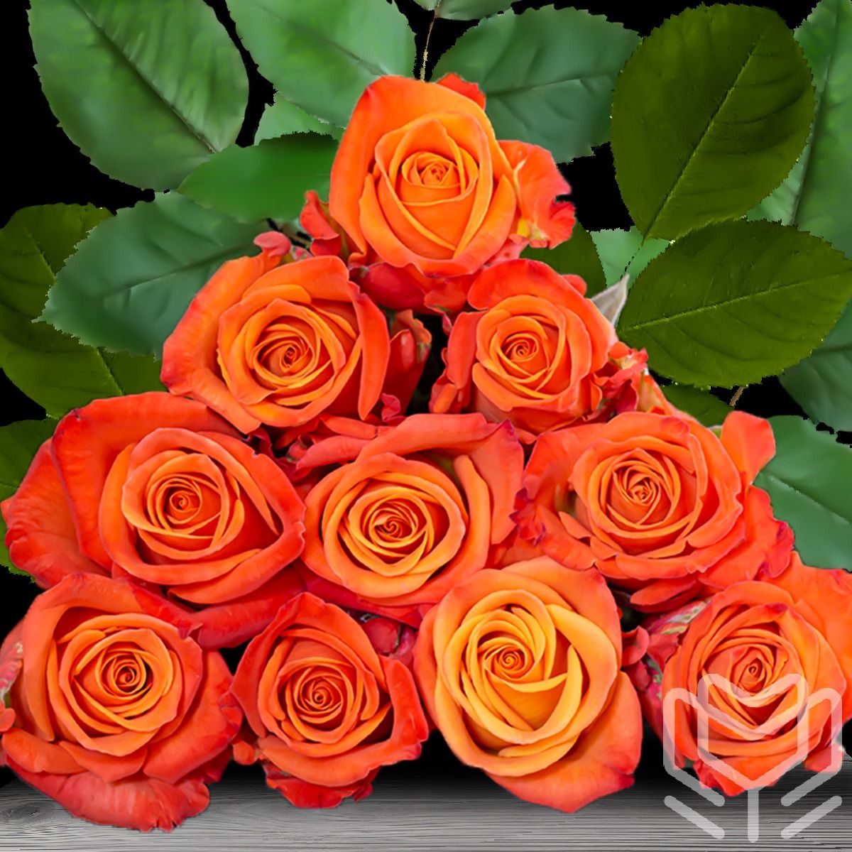 orange crush