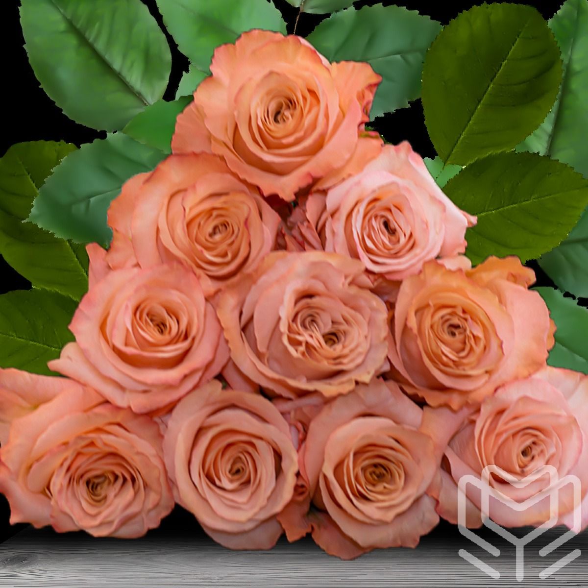 Bouquet of Shimmer rose variety in peach tones with soft, ruffled petals