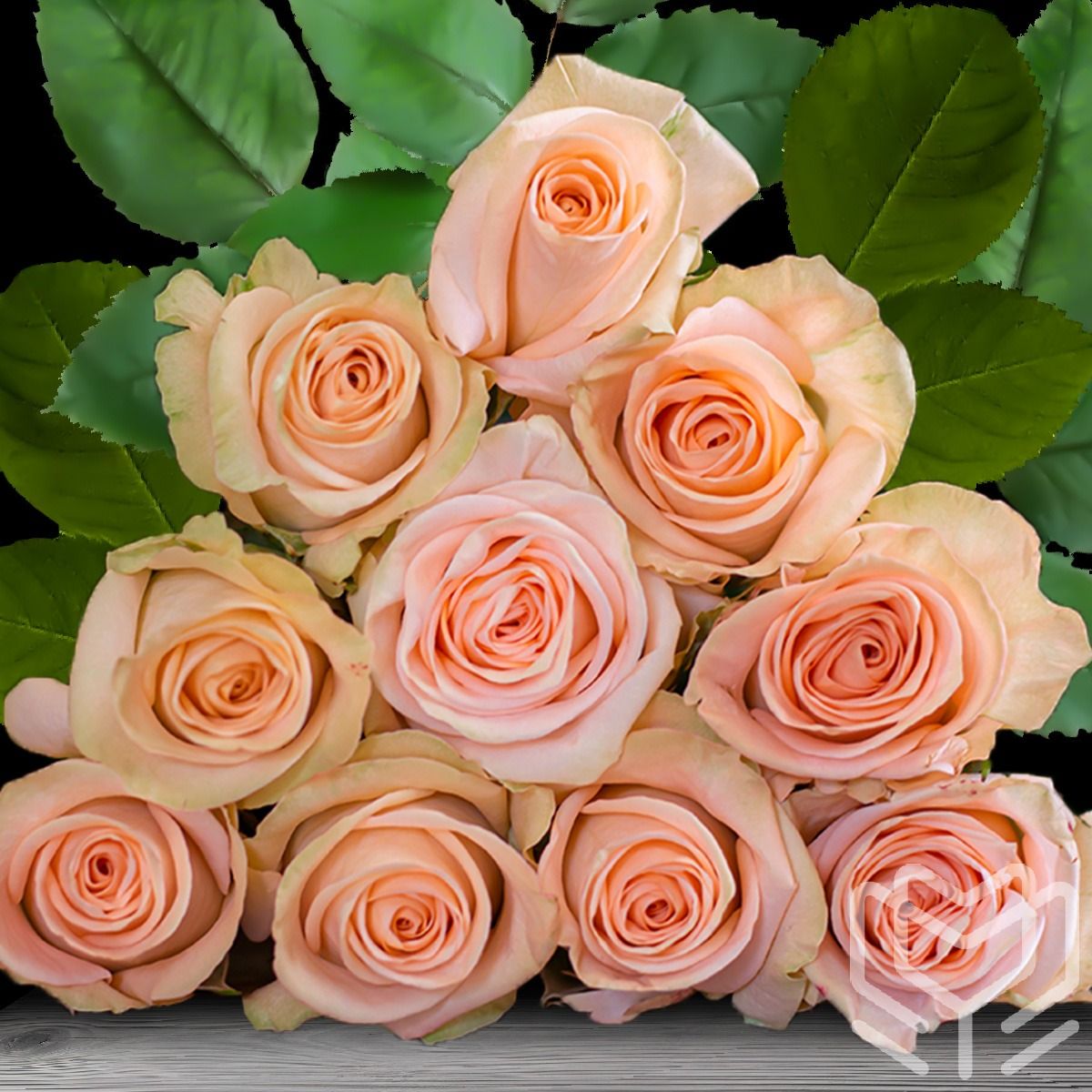 Bouquet of Tiffany rose variety with peachy-pink blooms and soft texture