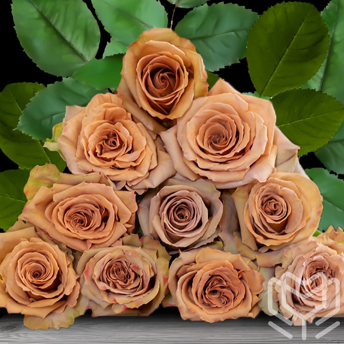 Bouquet of Toffe rose variety with warm caramel tones and vintage appearance